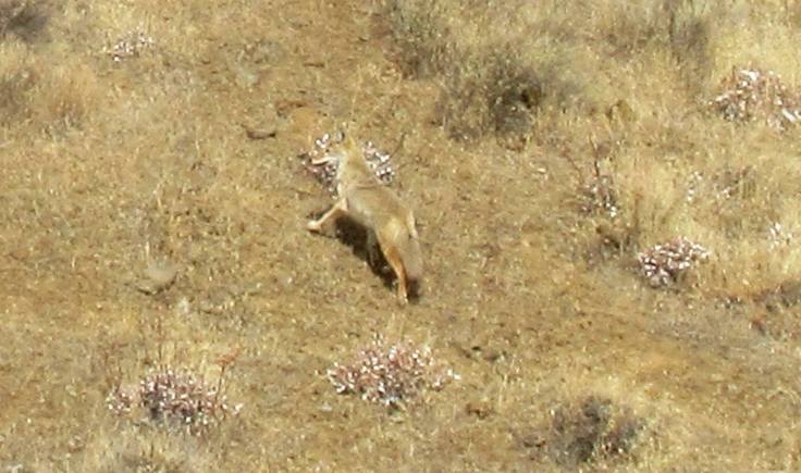 47142050_1168707643304989_2855579860821082112_o