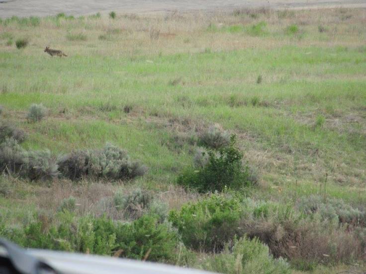 52268861_1509726235825522_687345327438561280_n